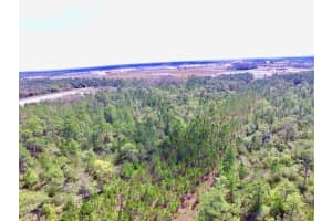 Lot 492 S SR-535, ORLANDO, FL 32821 - MLS#MFRS5122494