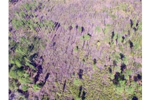 Lot 451 S SR-535, ORLANDO, FL 32821 - MLS#MFRS5122495