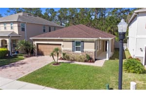 2328 AVELLINO AVENUE, ST CLOUD, FL 34771 Sold 04/30/25