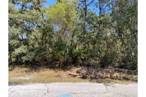 RAINBOW CT, POINCIANA, FL 34759 - MLS#MFRS5122792