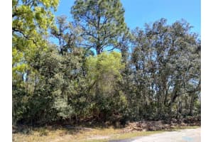 RAINBOW CT, POINCIANA, FL 34759 - MLS#MFRS5122792