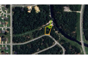 268 SPOONBILL DRIVE, KISSIMMEE, FL 34759 - MLS#MFRS5122924