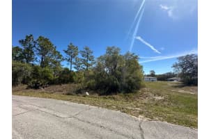 419 MAITLAND COURT, KISSIMMEE, FL 34759 - MLS#MFRS5122933