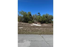 1386 HOMOSASSA DRIVE, KISSIMMEE, FL 34759 - MLS#MFRS5122939