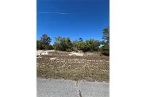 1386 HOMOSASSA DRIVE, KISSIMMEE, FL 34759 - MLS#MFRS5122939