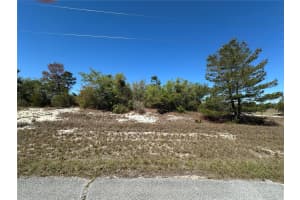 1386 HOMOSASSA DRIVE, KISSIMMEE, FL 34759 - MLS#MFRS5122939