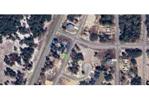 1386 HOMOSASSA DRIVE, KISSIMMEE, FL 34759 - MLS#MFRS5122939