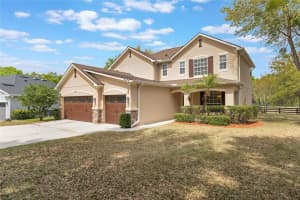 30439 Gidran Ter, MOUNT DORA