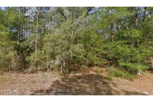 9572 SANDREE DRIVE, CITRUS SPRINGS, FL 34434 Sold 10/10/25