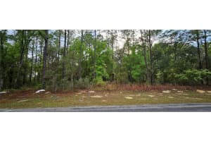 9572 SANDREE DRIVE, CITRUS SPRINGS, FL 34434 Sold 10/10/25