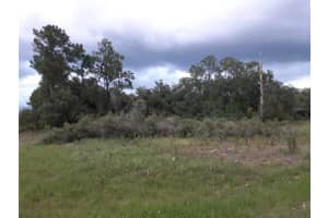 1202 VERNON WAY, KISSIMMEE, FL 34759 - MLS#MFRS5123258