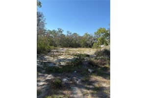 449 NAPLES COURT, KISSIMMEE, FL 34759 - MLS#MFRS5123561