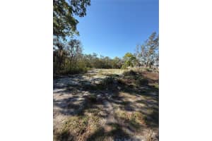 449 NAPLES COURT, KISSIMMEE, FL 34759 - MLS#MFRS5123561