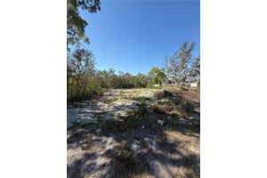 449 NAPLES COURT, KISSIMMEE, FL 34759 - MLS#MFRS5123561