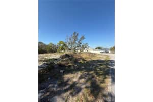 449 NAPLES COURT, KISSIMMEE, FL 34759 - MLS#MFRS5123561