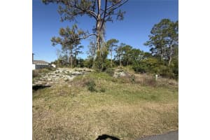 1302 CONGO COURT, KISSIMMEE, FL 34759 - MLS#MFRS5123581