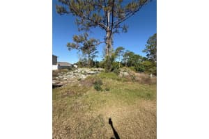 1302 CONGO COURT, KISSIMMEE, FL 34759 - MLS#MFRS5123581