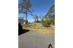 1302 CONGO COURT, KISSIMMEE, FL 34759 - MLS#MFRS5123581