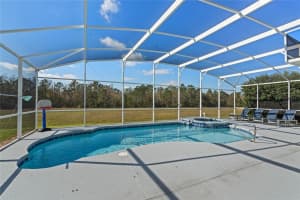 311 BIRKDALE ST, DAVENPORT, FL 33897 Sold 06/03/25