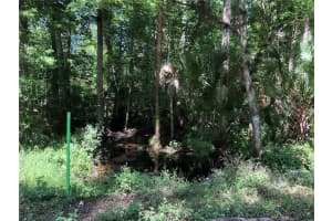 KEEFER TRL, KISSIMMEE, FL 34747 - MLS#MFRS5123655