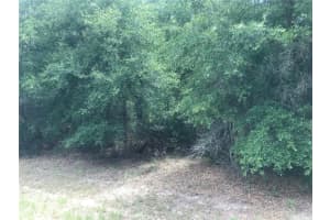 10161 DYAL DRIVE, CITRUS SPRINGS, FL 34434 - MLS#MFRS5124111