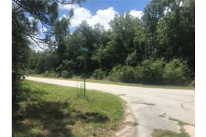 10161 DYAL DRIVE, CITRUS SPRINGS, FL 34434 - MLS#MFRS5124111