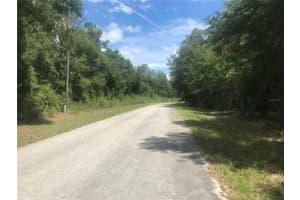 10161 DYAL DRIVE, CITRUS SPRINGS, FL 34434 - MLS#MFRS5124111