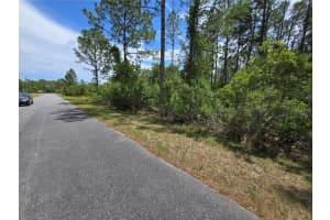 W BLUEBELL AVE, EUSTIS, FL 32736 - MLS#MFRS5124121