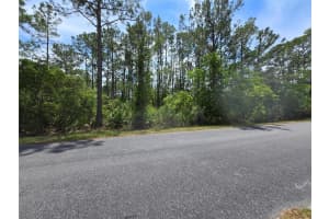 W BLUEBELL AVE, EUSTIS, FL 32736 - MLS#MFRS5124121
