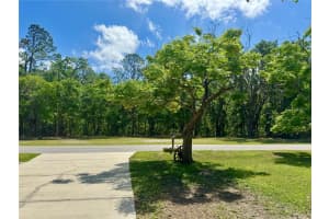 5221 SWALLOW DRIVE, LAND O LAKES, FL 34639 Sold 05/12/25