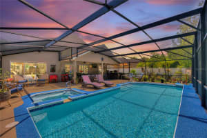 219 BREEZY OAKS CT, DAVENPORT, FL 33896 Sold 05/29/25