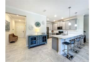 12325 TURTLE GRASS DRIVE, ORLANDO, FL 32824 - MLS#MFRS5124341