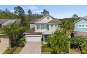 8724 Peachtree Park Ct, WINDERMERE