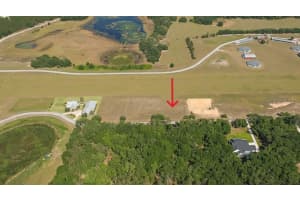 GRASS ROOTS RD, GROVELAND, FL 34736 - MLS#MFRS5124565