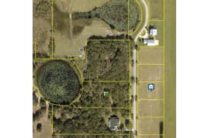 GRASS ROOTS RD, GROVELAND, FL 34736 - MLS#MFRS5124565