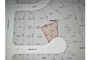 7 MUDFISH PLACE, POINCIANA, FL 34759 - MLS#MFRS5124764