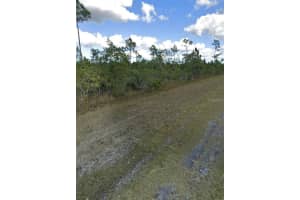 1008 CALLIANDRA DRIVE, INDIAN LAKE ESTATES, FL 33855 - MLS#MFRS5124885