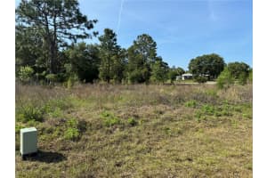 Lot 1 65TH LOOP, DUNNELLON, FL 34432 - MLS#MFRS5124973