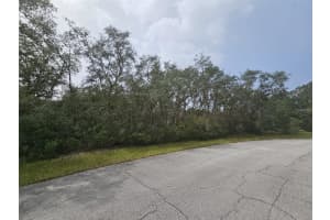 1255 BALTIC DRIVE, POINCIANA, FL 34759 - MLS#MFRS5125184