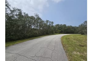 1255 BALTIC DRIVE, POINCIANA, FL 34759 - MLS#MFRS5125184