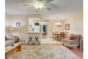 219 MCMULLEN BOOTH ROAD, CLEARWATER, FL 33759 Sold 06/20/25