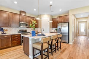 1003 CLOUD RIDGE COURT, MOUNT DORA, FL 32757 - MLS#MFRS5125497