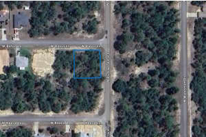 3804 BATON LANE, CITRUS SPRINGS, FL 34433 Sold 03/06/26