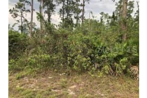 1415 SEBRING WAY, KISSIMMEE, FL 34759 - MLS#MFRS5125923