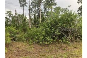 1415 SEBRING WAY, KISSIMMEE, FL 34759 - MLS#MFRS5125923