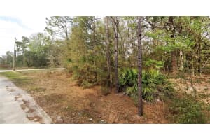 SW 146TH CT, OCALA, FL 34481 - MLS#MFRS5126150