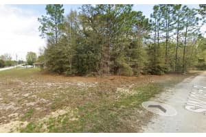 SW 146TH CT, OCALA, FL 34481 - MLS#MFRS5126150