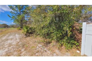 716 MARTIN LANE, KISSIMMEE, FL 34759 - MLS#MFRS5126241