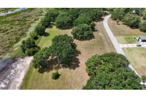 16940 ROYAL PALM DRIVE, GROVELAND, FL 34736 - MLS#MFRS5126632