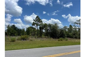 3309 HAMPSHIRE BOULEVARD, CITRUS SPRINGS, FL 34433 - MLS#MFRS5126959